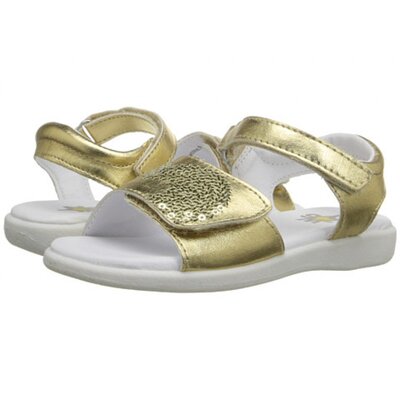W6YZ Leah 24 (Gold)