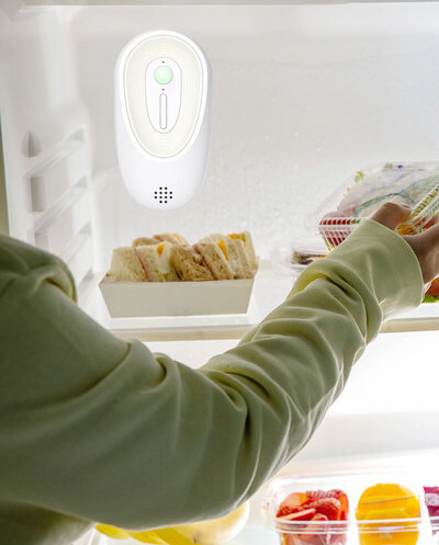 Enerfer Ozone Air Purifier (NJM02-B)