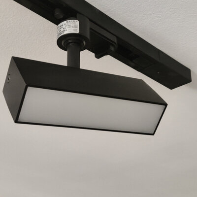 Pinton PD252 10W 3000K Black