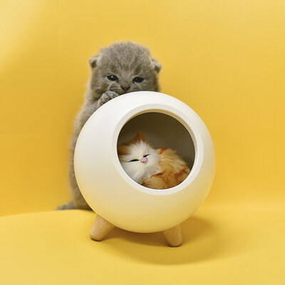 AngCan LJC-130 White