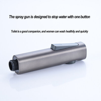 DISFACT XP-19I Premium Iron