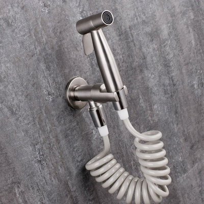 NananIbes ТІ-2 SET Silver