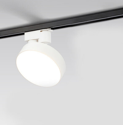 Pinton CNTD-1030T12 24W 3000K White